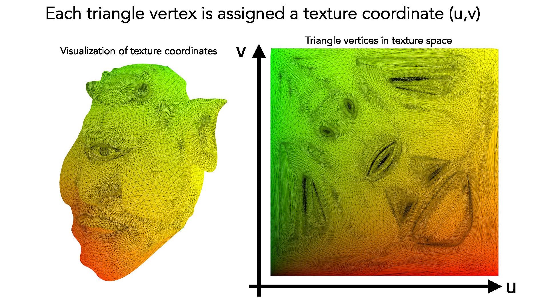 texture_coordinate
