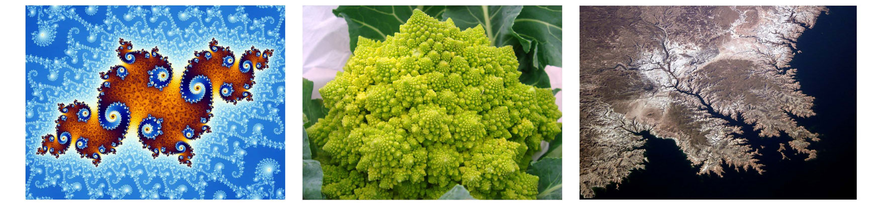 fractals