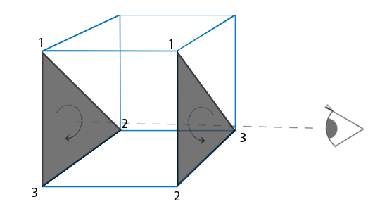 faceculling_frontback.png